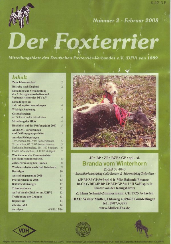 Der Foxterrier 2 – 2007