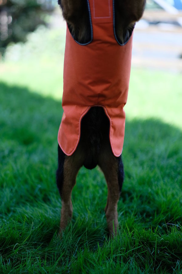 NEUER SCHNITT u.GEWEBE Hundeschutzjacke über 80 cm Brustumfang